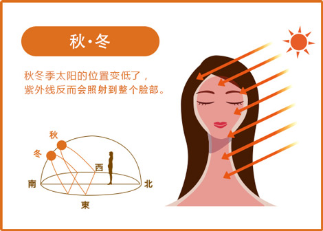 秋・冬 秋冬季太阳的位置变低了， 紫外线反而会照射到整个脸部。