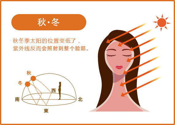 秋・冬 秋冬季太阳的位置变低了， 紫外线反而会照射到整个脸部。